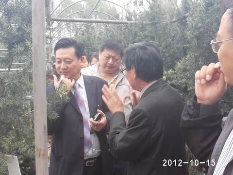 1560586441545126.jpg 4.jpg