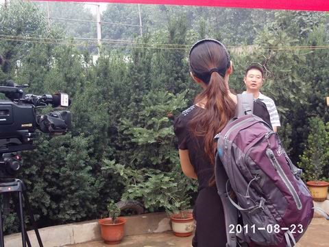 1560586616912644.jpg 15.jpg